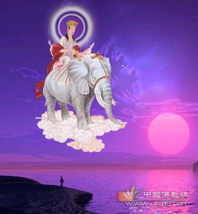 向佛的青樓女子