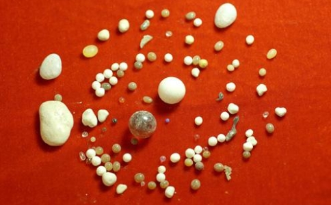 舍利子和舍利有區別嗎？