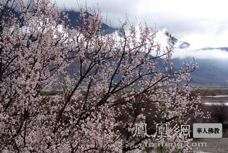 改變貪心 種下善根 證得果位
