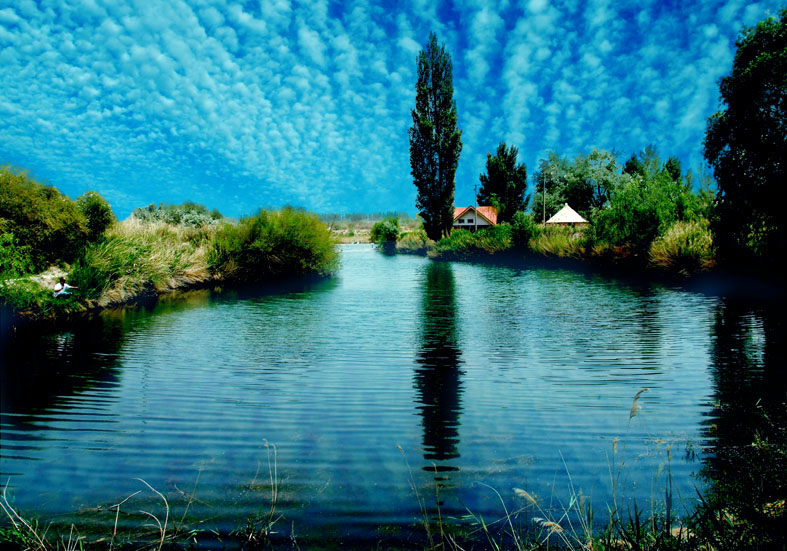 你願做一杯水，還是一片湖？