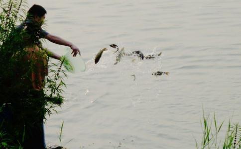 放生時有人在釣魚怎麼辦？