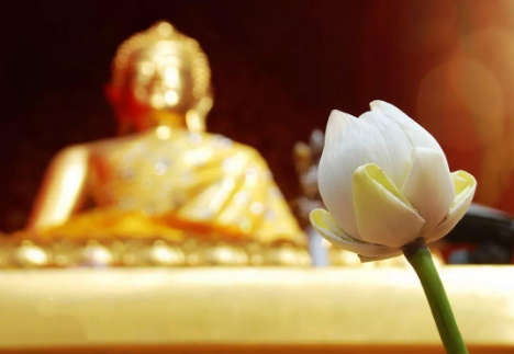 【佛法】是什麼？都有哪些？