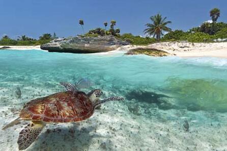 放生可改善人與自然的關係