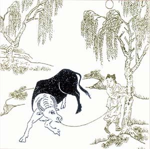 慾望之繩牽著你、我、他！