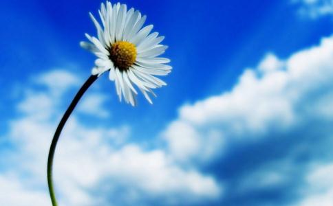 奈何橋上與佛祖的對話！看醒了很多人