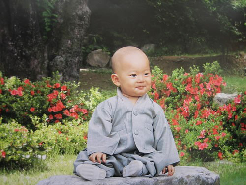 大丈夫說出家就出家