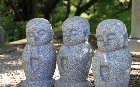 如何勸父母不殺生,學習佛法?