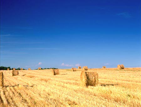 佛祖都不肯保佑的事