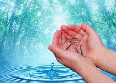 放生需小心「生態殺手」