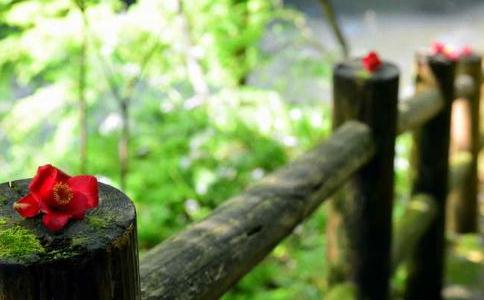 把慈悲用在生活之中