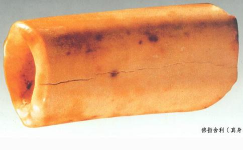 供養禮拜舍利的功德利益