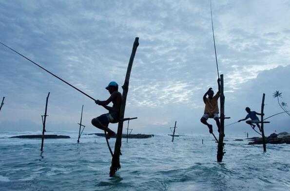 請放下釣竿，讓魚兒免受魚鉤之痛吧