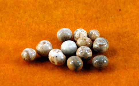 為什麼要留舍利？它的作用是什麼？