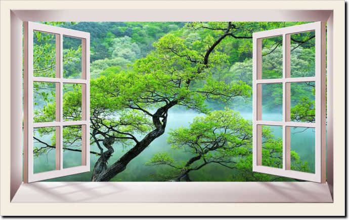 佛學禪說：窗戶和鏡子