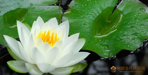 千萬別將好運逼走