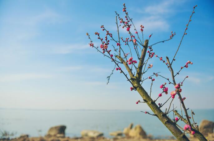 兩件放生者必須了解的事