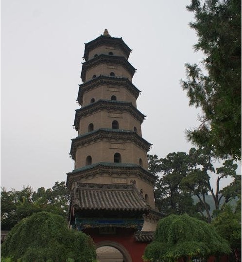 舍利生生塔的簡介