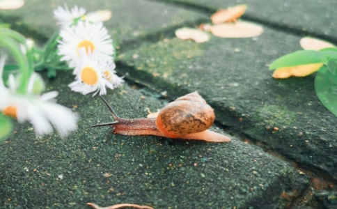 急性子與慢性子，人與人要學會理解和忍耐