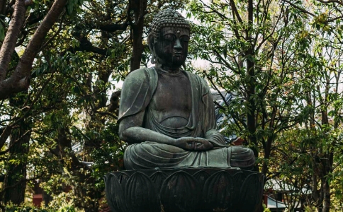 熟悉經藏的比丘與精進修道的比丘