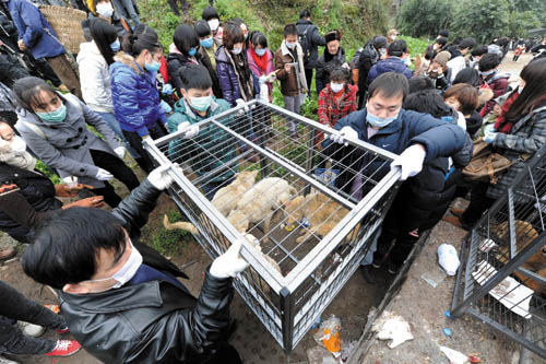 獲救狗狗搬新家