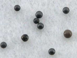 釋迦牟尼佛舍利在佛教信仰中的地位