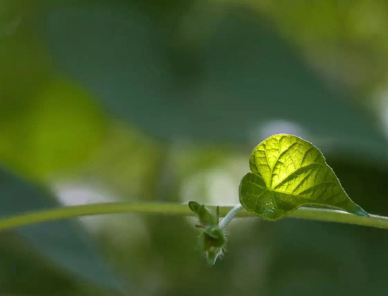 男女雙方福德，業力相等，才能作為夫婦