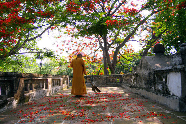 南懷瑾：險些投胎做豬的朋友