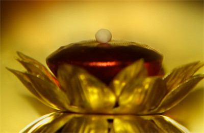 舍利子是什麼東西