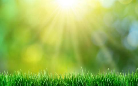 陽春三月，萬物生機勃勃，我們去放生吧！