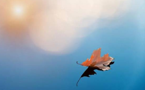 怎麼克制住自己的胡思亂想，在糾結煩惱中平靜下來？