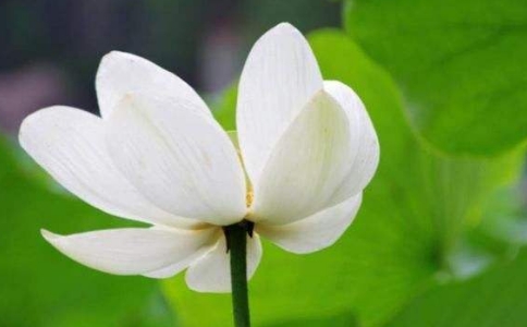 律航法師專修念佛，預知時至自在往生