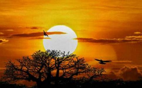 想做什麼就抓緊去做吧！