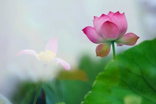 陳士東居士：太虛大師與密宗