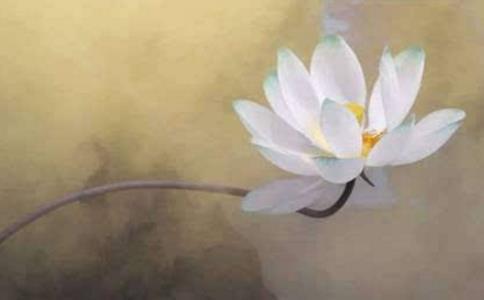 繼母自私遭報成乞丐，繼子竟不計前嫌接回團圓