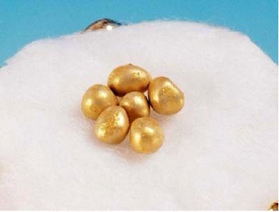 舍利子_舍利子究竟是什麼