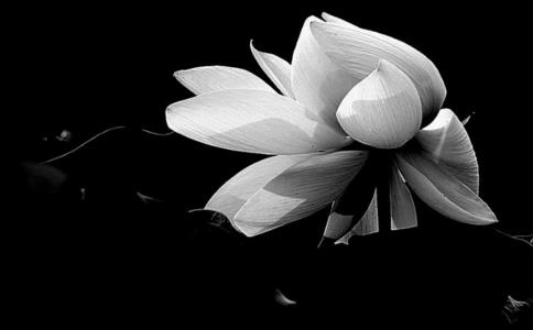 天堂地獄常在你一念之間