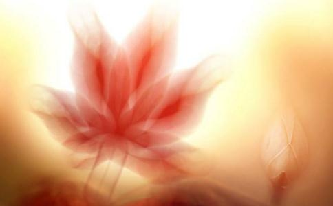 因為有禪，所以有緣