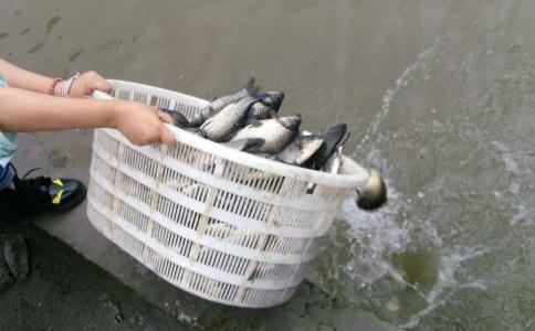 為什麼說護生是對於生命的尊重？