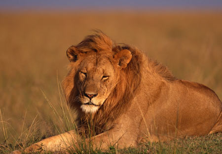 不能改變這個世界就改變自己